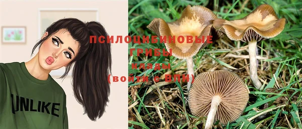 стаф Абаза